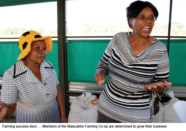 The-Weekly-Masizakhe-Farming